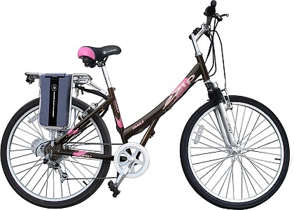 eZip Trailz Commuter Women's Electric Bicycle Parts