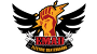 EMAD Electric Skateboard Parts