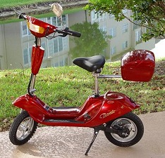 Terminator ES-04 Electric Scooter