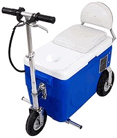 Cruzin Cooler 300 Watt Electric Scooter