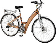 IZIP Trekking Enlightened Women's Electric Bicycle